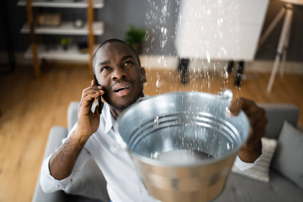 Best Professional water damage repair  in Guntersville, AL
