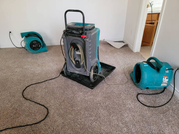Best Water damage restoration near me  in Guntersville, AL
