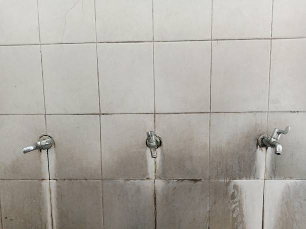 Best Basement water damage restoration  in Guntersville, AL
