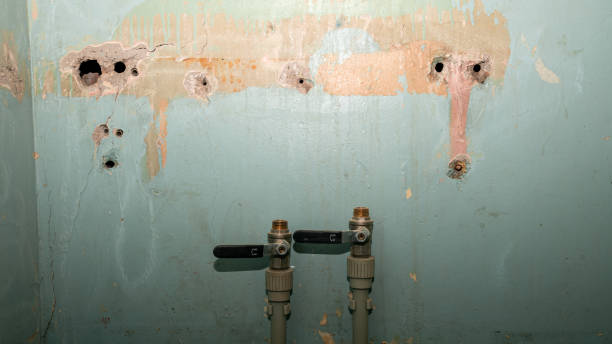 Best Professional water damage repair  in Guntersville, AL