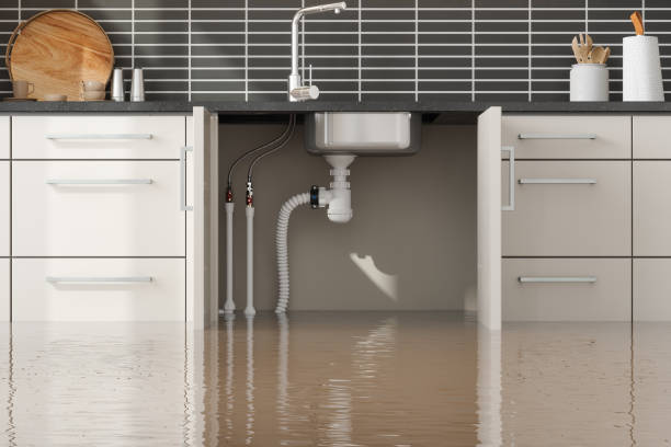 Best Fire Damage Restoration  in Guntersville, AL